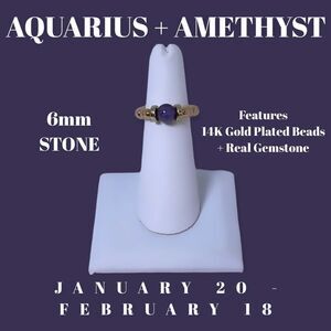 NWT Wool + Pepper Co. Zodiac + Gemstone - Aquarius + Amethyst Ring (Gold) 6mm